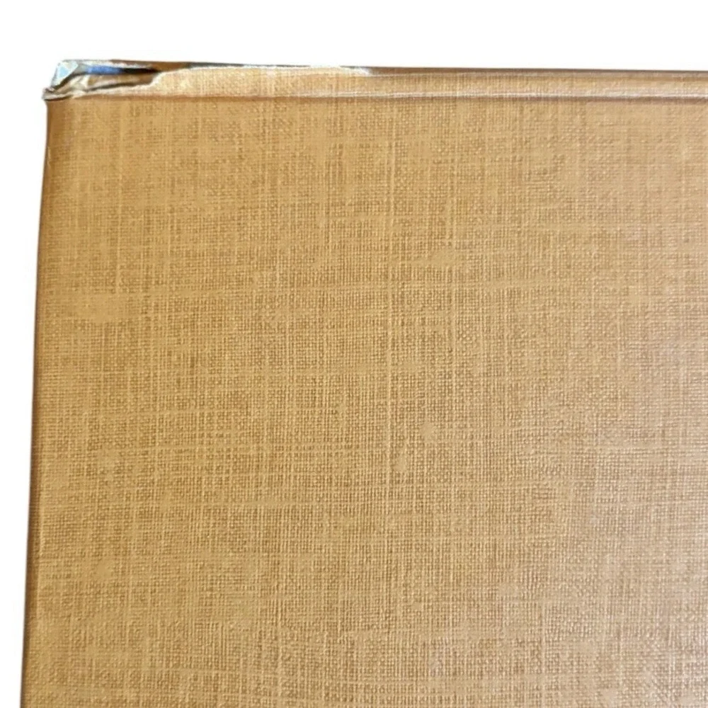 LOUIS VUITTON & Chanel empty Box Shopping Bags LV, Longchamps, Dior, Coach